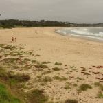 Mollymook Beach